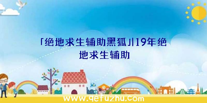 「绝地求生辅助黑狐」|19年绝地求生辅助